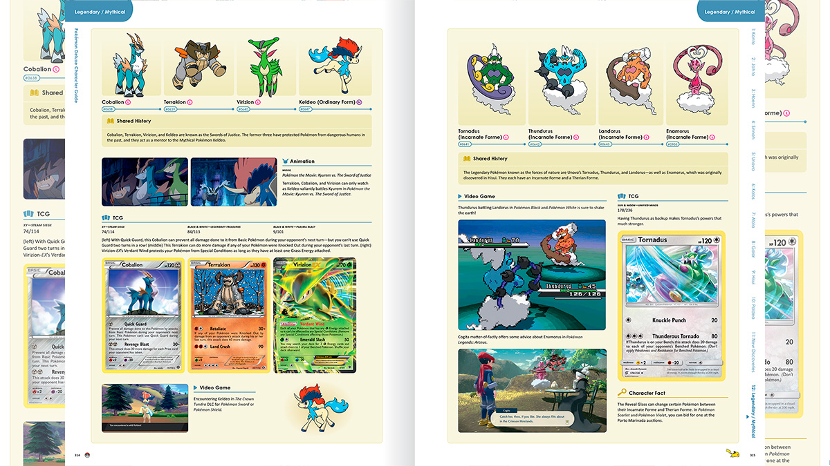 Anuncian Pokémon Deluxe Character Guide Box Set