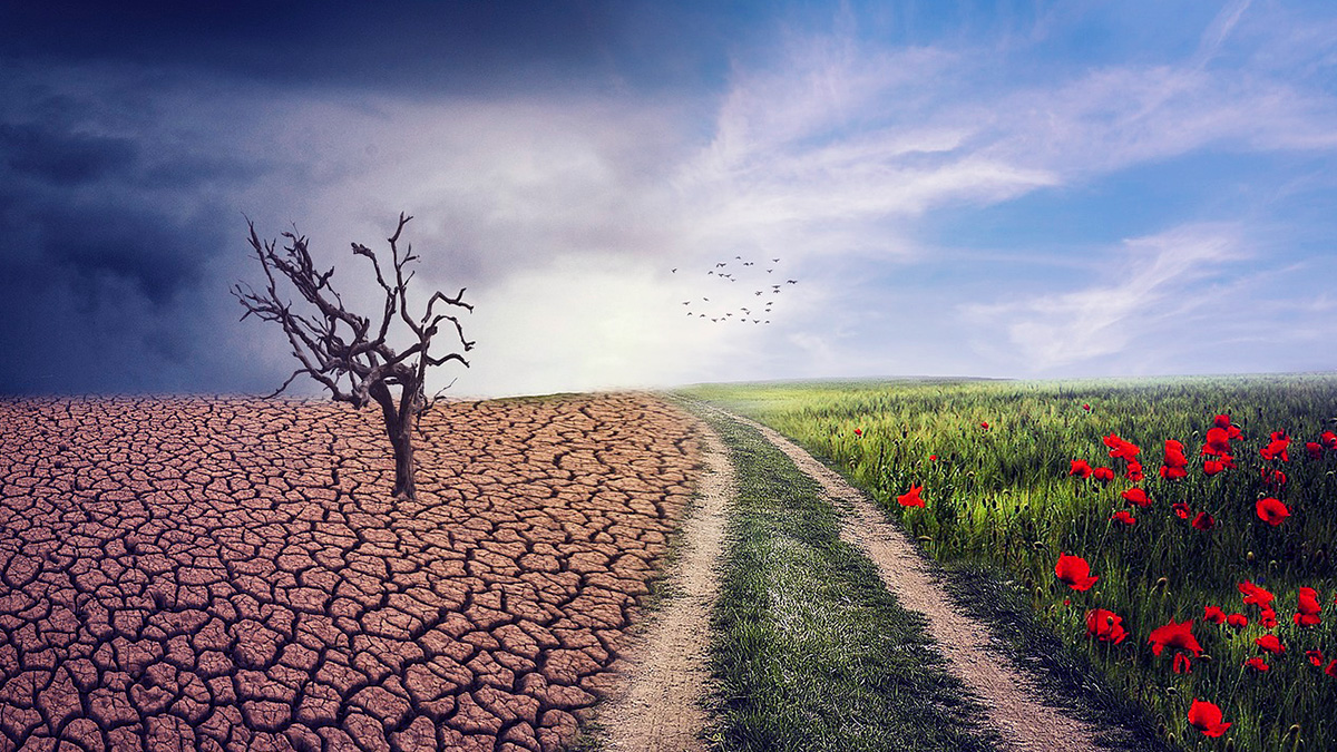 Transición energética ante el cambio climático y la crisis